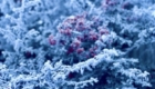 img-1.2-din-22.01.2026