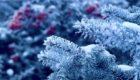 img-1.4-din-22.01.2026