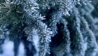 img-1.5-din-22.01.2026