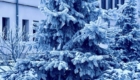 img-1.6-din-22.01.2026