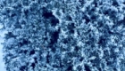 img-1.7-din-22.01.2026