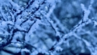 img-1.9-din-22.01.2026