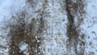 img-1.2-din-16.02.2026