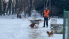 img-1.8-din-16.02.2026