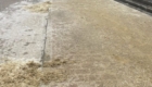 img-3.5-din-06.02.2026