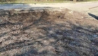 img-4.7-din-13.03.2026