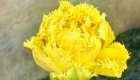 img-7.1-din-23.04.2026