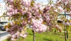 img-7.2-din-23.04.2026