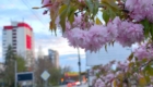 img-7.7-din-23.04.2026