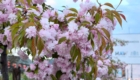 img-7.8-din-23.04.2026