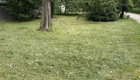 img-3.1-din-20.05.2026