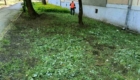 img-3.10-din-20.05.2026