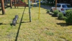 img-3.3-din-20.05.2026
