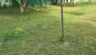 img-3.5-din-20.05.2026