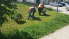 img-3.9-din-20.05.2026