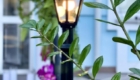 img-4.6-din-23.05.2026