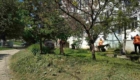 img-6.6-din-06.05.2025