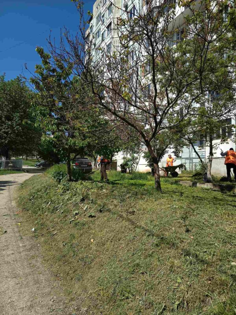 img-6.6-din-06.05.2025