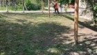 img-6.7-din-06.05.2025