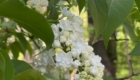 img-7.1-din-05.05.2026