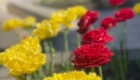 img-7.3-din-05.05.2026