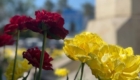 img-7.5-din-05.05.2026