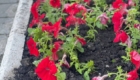 img-7.6-din-05.05.2026