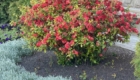img-7.7-din-05.05.2026