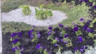 img-7.8-din-05.05.2026