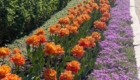 img-7.9-din-05.05.2026