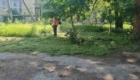 img-1.6-din-08.06.2026