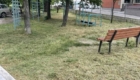 img-1.7-din-08.06.2026