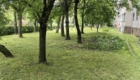 img-1.9-din-08.06.2026